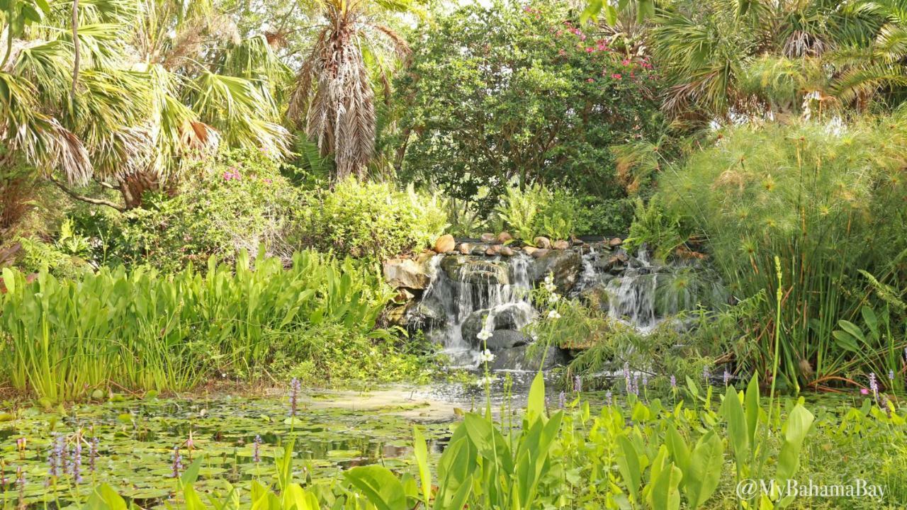 Bahama Bay Condo Citrus Ridge Eksteriør bilde